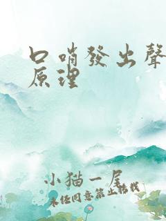 口哨发出声音的原理