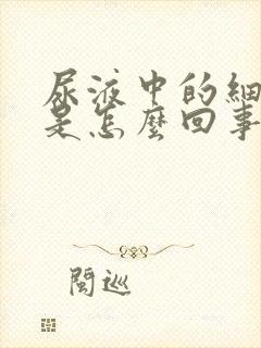 尿液中的细菌高是怎么回事