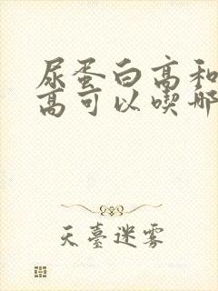 尿蛋白高和尿酸高可以吃哪些食物