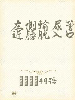 左侧输尿管下段近膀胱入口处结石