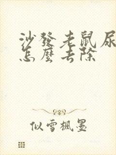 沙发老鼠尿骚味怎么去除