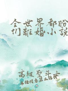 全世界都盼着我们离婚小说免费阅读