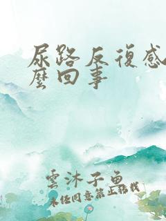 尿路反复感染怎么回事