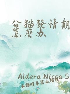 公猫发情期乱尿怎么办