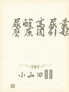 尿酸高尿黄是什么原因引起的