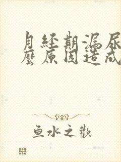 月经期漏尿是什么原因造成的