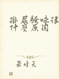 排尿骚味很重是什么原因