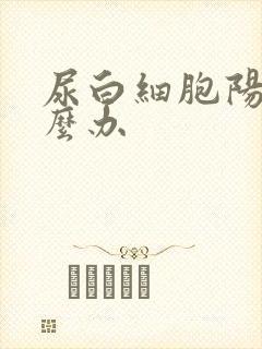 尿白细胞阳性怎么办