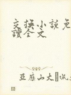 交换小说免费阅读全文