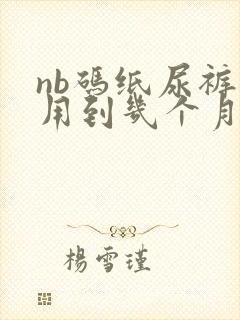 nb码纸尿裤能用到几个月