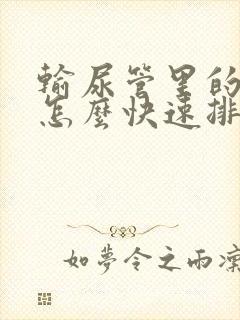 输尿管里的结石怎么快速排出