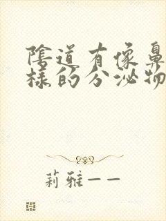 阴道有像鼻涕一样的分泌物是怎么回事