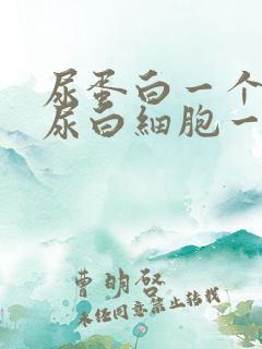 尿蛋白一个加号尿白细胞一个加号