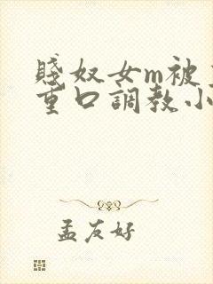 贱奴女m被主人重口调教小说