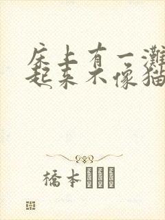 床上有一滩水闻起来不像猫尿