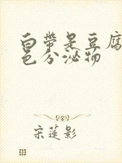 白带是豆腐渣黄色分泌物