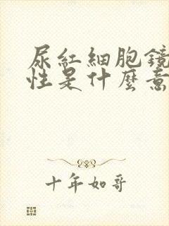 尿红细胞镜检阳性是什么意思