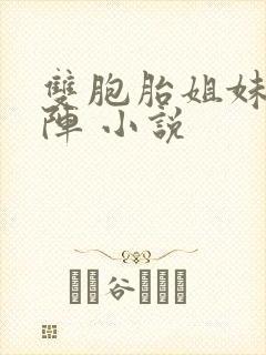 双胞胎姐妹齐上阵 小说