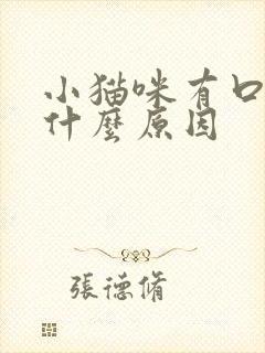 小猫咪有口臭是什么原因