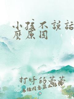 小孩不说话有什么原因