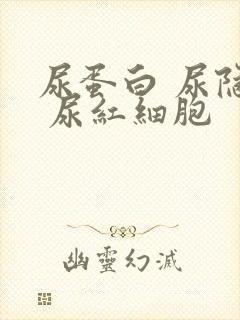 尿蛋白 尿隐血 尿红细胞