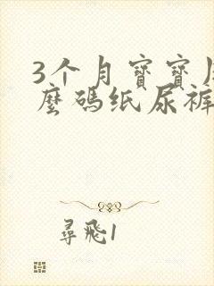 3个月宝宝用什么码纸尿裤