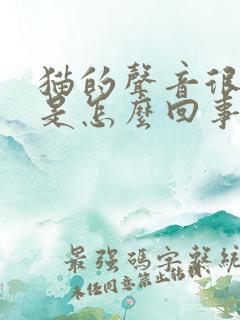 猫的声音很沙哑是怎么回事