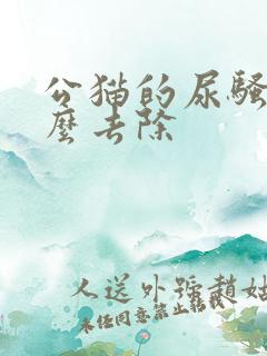 公猫的尿骚味怎么去除