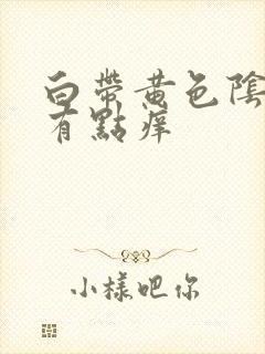 白带黄色阴道口有点痒