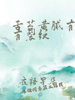 舌苔黄腻有齿痕有裂纹