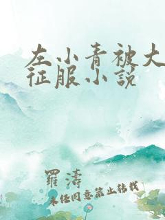 左小青被大肉楱征服小说