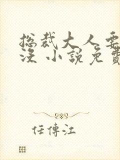 总裁大人要够了没 小说免费阅读