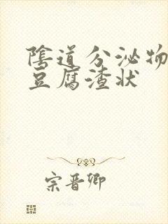 阴道分泌物白色豆腐渣状