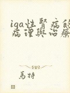 iga性肾病的病理与治疗