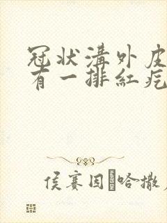 冠状沟外皮边缘有一排红疙瘩痒