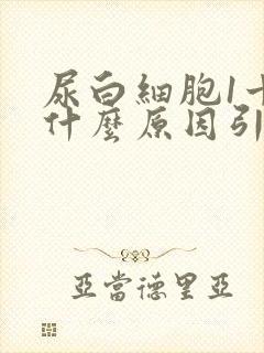 尿白细胞1十是什么原因引起的