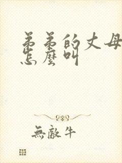 弟弟的丈母娘我怎么叫