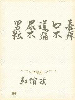 男尿道口长小肉粒不痛不痒