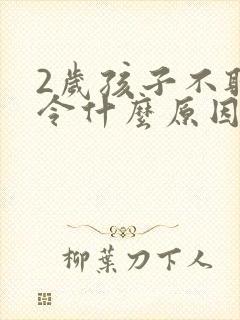 2岁孩子不听指令什么原因
