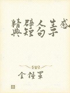 精辟人生感悟经典短句子