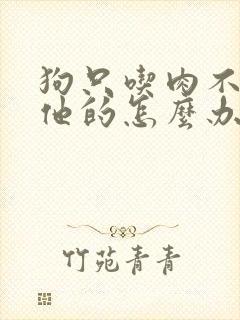 狗只吃肉不吃其他的怎么办