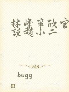 林峰宁欣官场小说赵小二