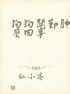 狗狗关节肿了怎么回事