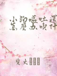 小狗呕吐还拉血怎么办吃什么药