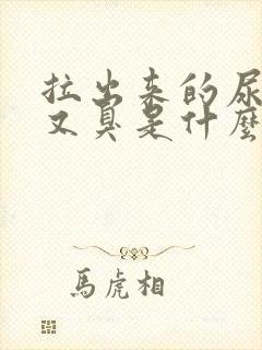 拉出来的尿又骚又臭是什么原因