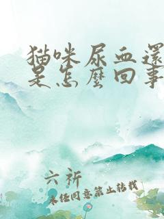 猫咪尿血还呕吐是怎么回事