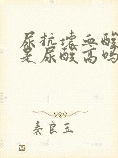 尿抗坏血酸增高是尿酸高吗