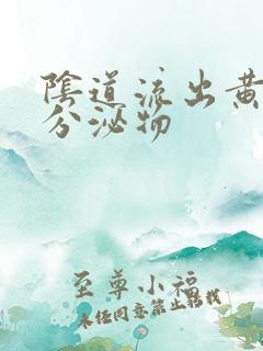 阴道流出黄脓状分泌物