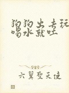 狗狗出去玩回来喝水就吐