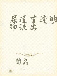 尿道有透明分泌物流出